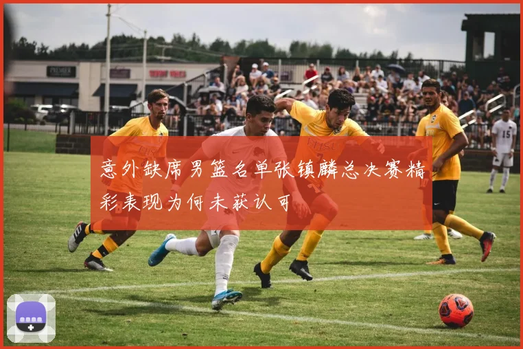意外缺席男篮名单张镇麟总决赛精彩表现为何未获认可