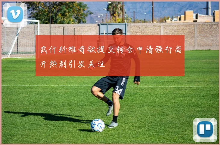 武什科维奇欲提交转会申请强行离开热刺引发关注
