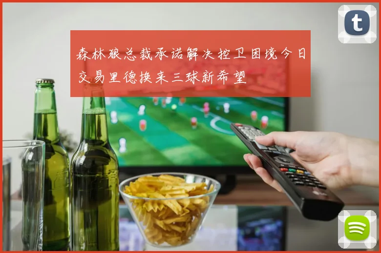 森林狼总裁承诺解决控卫困境今日交易里德换来三球新希望